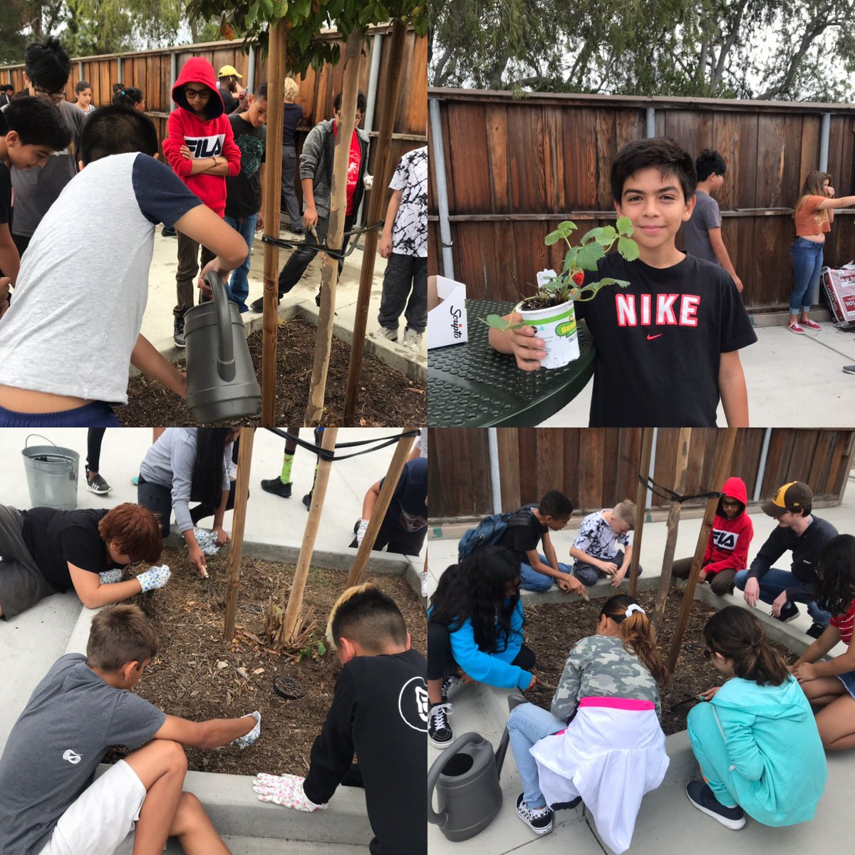 Taft students working together to grow plants and flowers in our lunch court. 🌸 🙏<a href="/BrummittEnergy/">Brummitt</a>