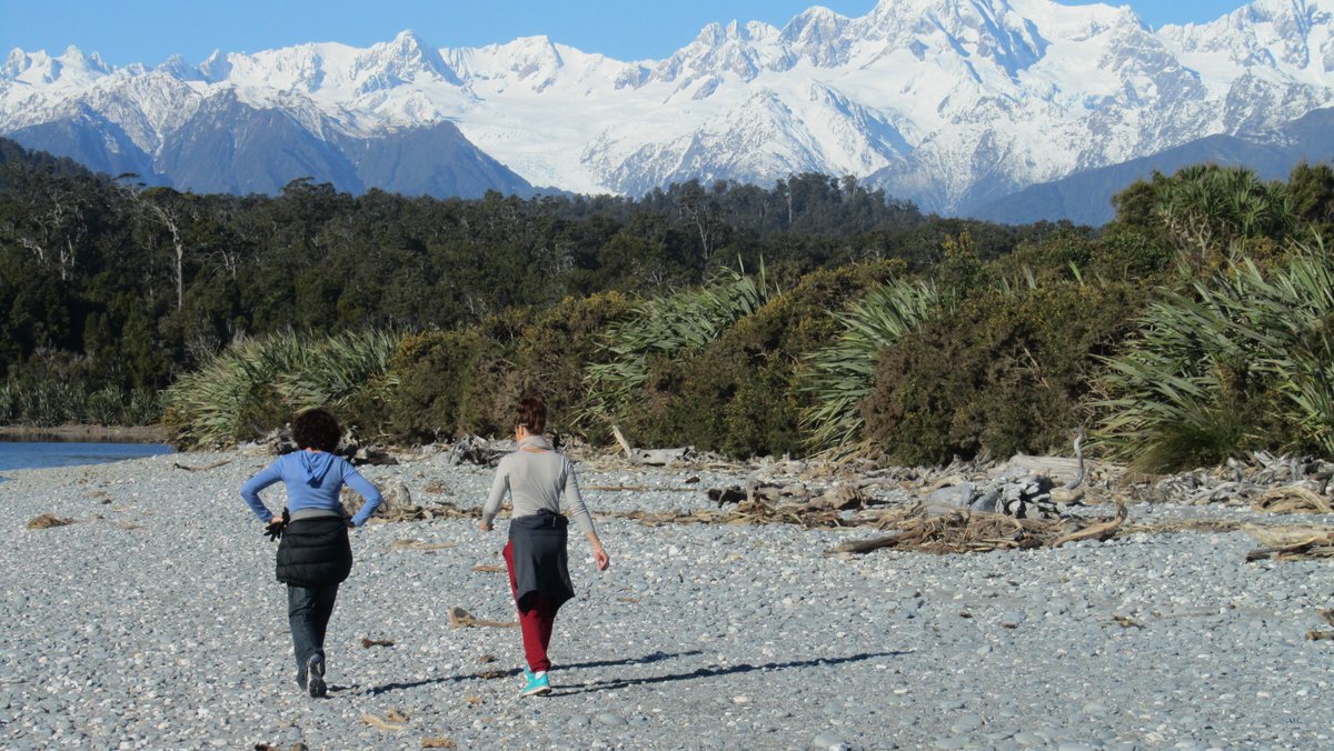 Fox Glacier Guiding tweet media