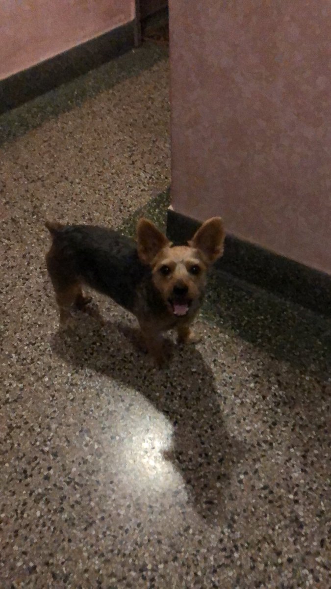 TheReal_Benson's tweet photo. Excited to see grandma! @DeDelilah26 https://t.co/fGrshWY5Wu