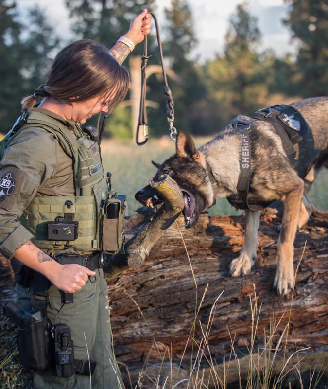 K9 Support NW tweet media