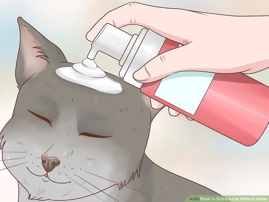 Mel Campbell On Twitter Wikihow Art Cracks Me Up I Can