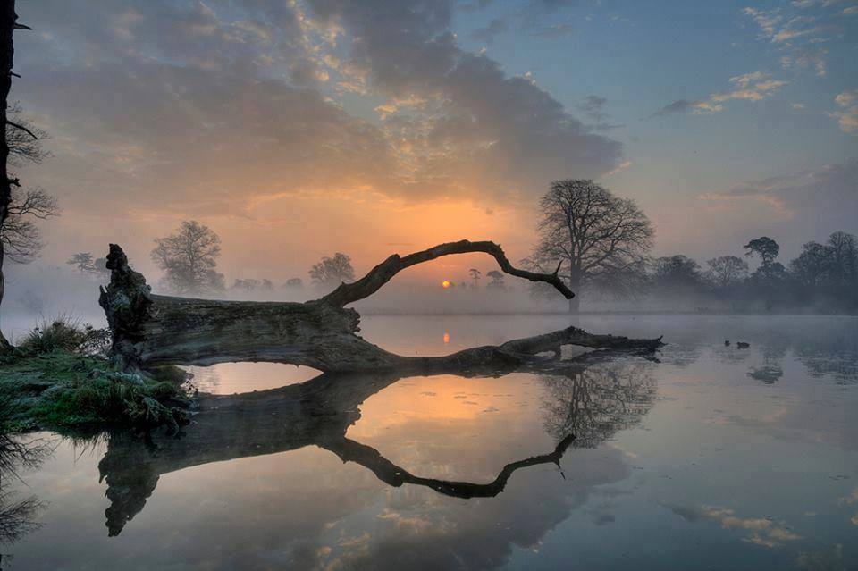 Remember that the world is beautiful, and our place in it is worth fighting for. I love you all.