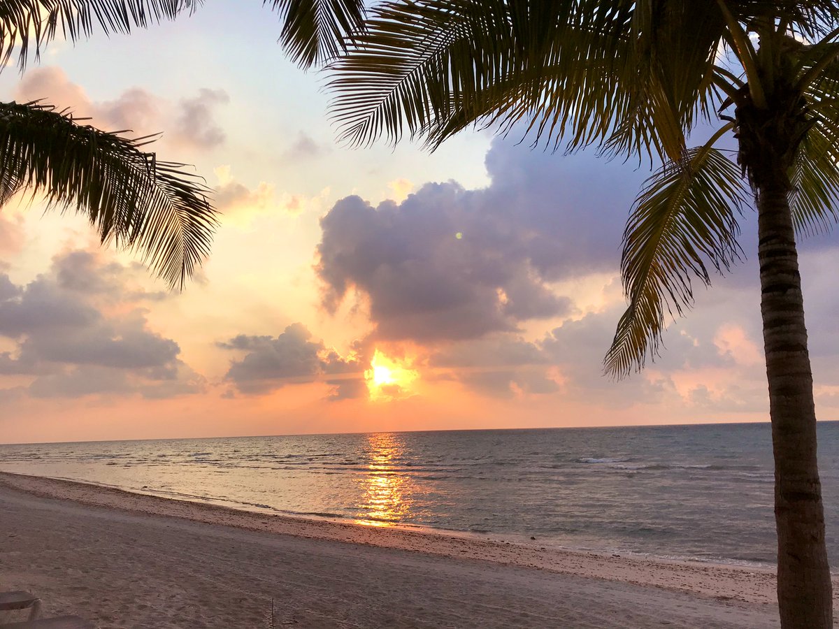 vickyart10's tweet photo. #BuenasNochesATodos #FelizDescanso #MakeAWish ✨🌙💫😴 💤
El atardecer de hoy. 🌅 #sunset #Aakbal #Campeche #paradise
📷 by me. https://t.co/D0a4GzleoI