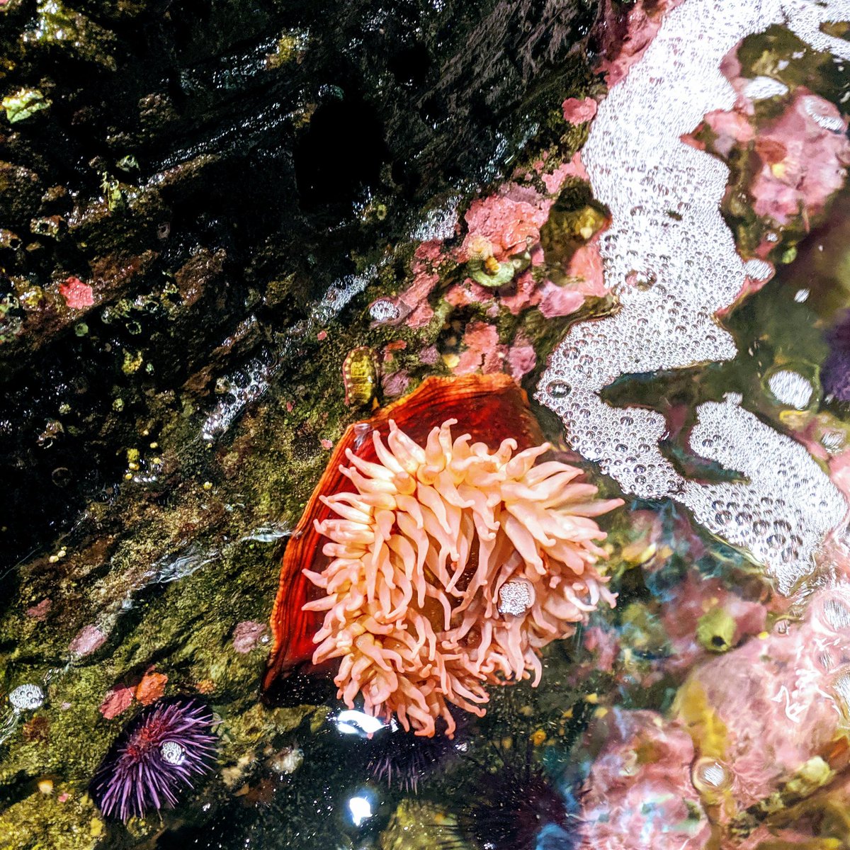 woodsandwitch's tweet image. #DefendCon2019 networking is wild. #ThanksAlexis