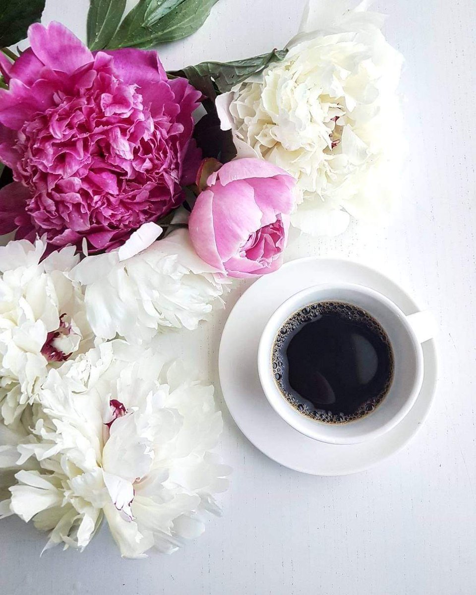 Carolyn80242855's tweet image. Hello lovlies,hello Friday hope your week has been good,here's to Friday and the weekend have a great day doing all that brings you bliss😊enjoy,take care love and hugs in abundance to you all ❤🤗❤ #FridayFeeling #Enjoy #weekendcoming 🎶💃🎶 xxx