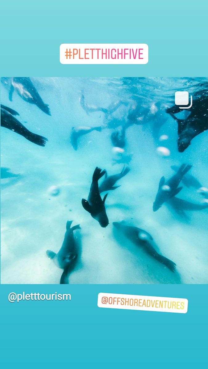 Plett Tourism tweet media