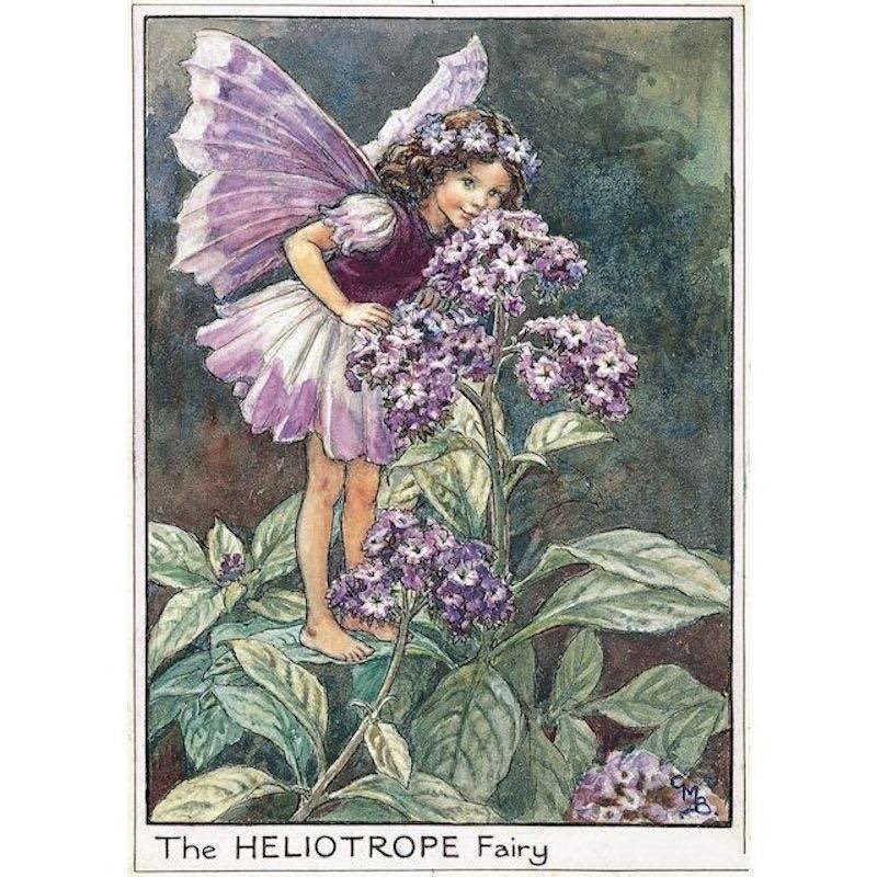 The Flower Fairy books by Cecil Mary Barker were such a huge part of my childhood and the beginning of my love of fairies.

I recently found out all of the smaller books I owned were put together into one massive book and I NEED IT. 