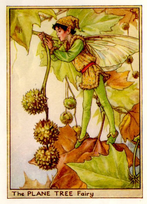 The Flower Fairy books by Cecil Mary Barker were such a huge part of my childhood and the beginning of my love of fairies.

I recently found out all of the smaller books I owned were put together into one massive book and I NEED IT. 