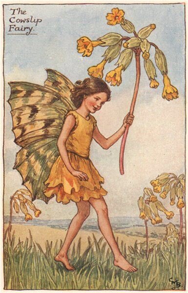 The Flower Fairy books by Cecil Mary Barker were such a huge part of my childhood and the beginning of my love of fairies.

I recently found out all of the smaller books I owned were put together into one massive book and I NEED IT. 