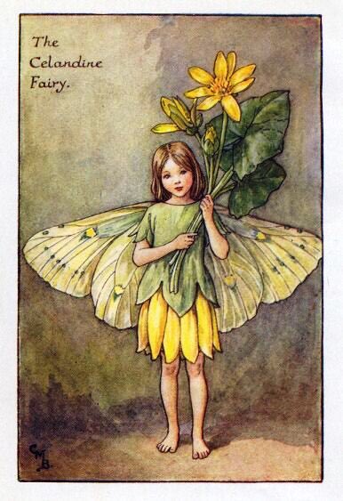 The Flower Fairy books by Cecil Mary Barker were such a huge part of my childhood and the beginning of my love of fairies.

I recently found out all of the smaller books I owned were put together into one massive book and I NEED IT. 