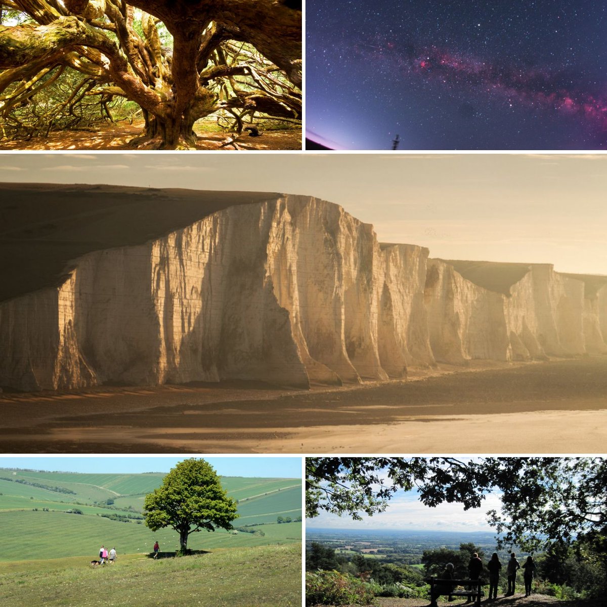 sdnpa's tweet photo. Today is #WorldTourismDay

The National Park welcomes millions of visitors every year, some are fairly local but many others travel from overseas.

What 'wow' spot would you recommend to someone visiting the South Downs for the first time? https://t.co/FJH2myLAUm