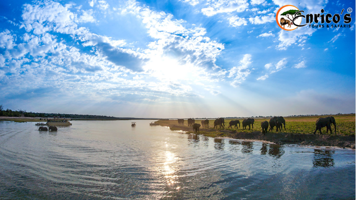 Enricossafaris's tweet photo. #ChobeRiver provides an excellent watering spot for wildlife
It homes the most elephants in all of Africa and you can literally feel the ground shivering as a large herd moves by.

#bespokesafari #bespoketravel #safarigamedrives #safarinaturewalks #wildlifelovers #travelexpert https://t.co/t1uRXSwdcj
