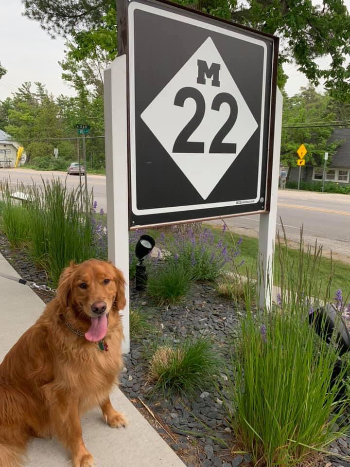 GoldenMackey's tweet photo. #mitten #M22  Glen Arbor, MI https://t.co/txLcH7LJuR