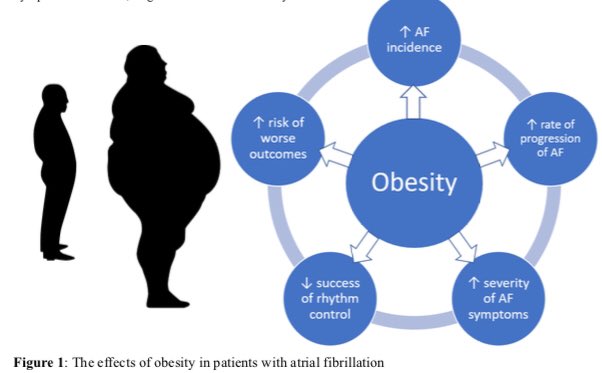Sarah Hudson (@sarahhudsonuk) on Twitter photo The new look <a href="/BritishCardioSo/">British Cardiovascular Society</a> editorials have arrived! Thanks to <a href="/ahmed_adlan/">Ahmed Adlan</a> for drawing my attention to a great one on #AF and obesity:
♥️conversation around affect of ⬆️BMI & incidence
♥️benefits of weight loss in AF- LEGACY and REVERSE-AF discussed
bcs.com/documents/Ding… The new look <a href="/BritishCardioSo/">British Cardiovascular Society</a> editorials have arrived! Thanks to <a href="/ahmed_adlan/">Ahmed Adlan</a> for drawing my attention to a great one on #AF and obesity:
♥️conversation around affect of ⬆️BMI & incidence
♥️benefits of weight loss in AF- LEGACY and REVERSE-AF discussed
bcs.com/documents/Ding…