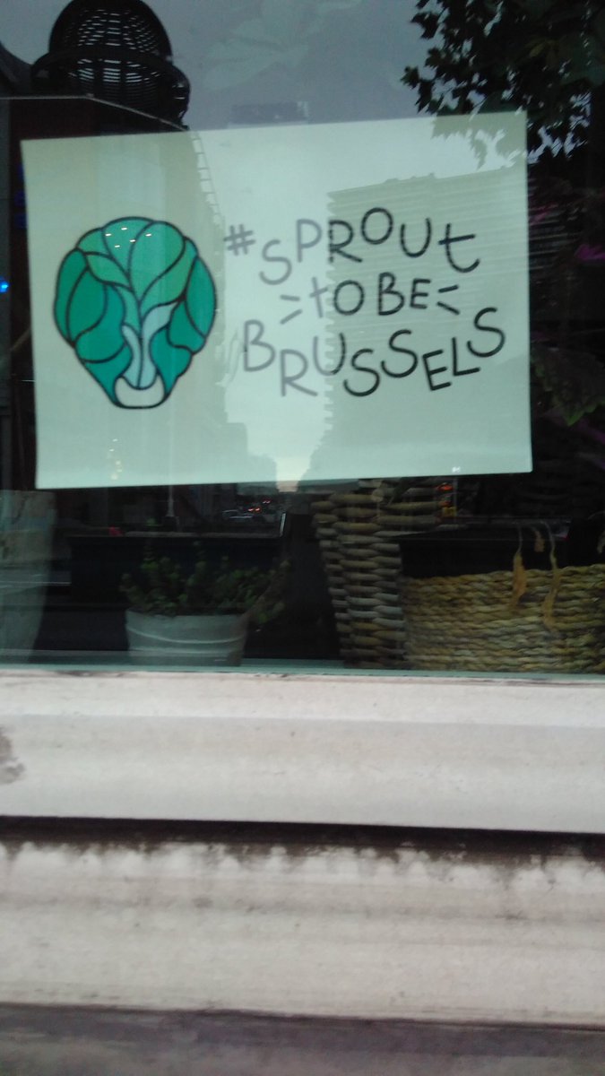 Free #neo4j basics training starting at 10 this morning in #digityser Brussels. Be there or be ... a sprout I guess !