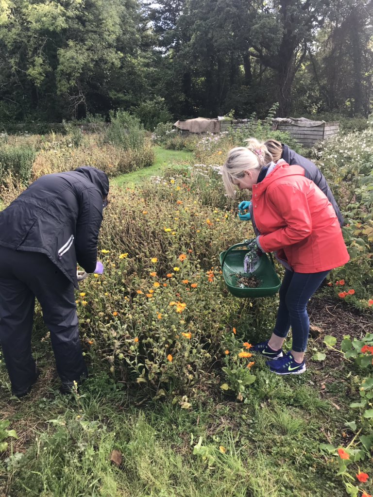 shannon_222's tweet image. Such a beautiful day at Florence Court where our lovely #volunteers from @daera_ni are getting stuck in to the gardening tasks! #LoveYourLandscape #supportingyourcommunity @bitcni