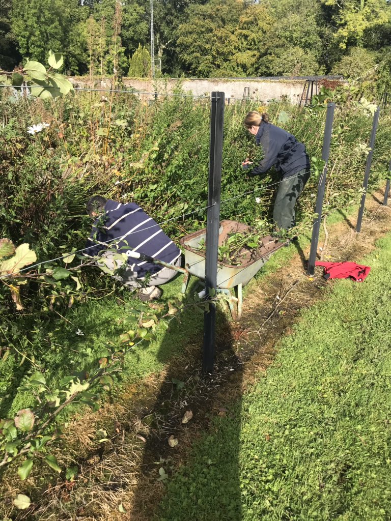 shannon_222's tweet image. Such a beautiful day at Florence Court where our lovely #volunteers from @daera_ni are getting stuck in to the gardening tasks! #LoveYourLandscape #supportingyourcommunity @bitcni