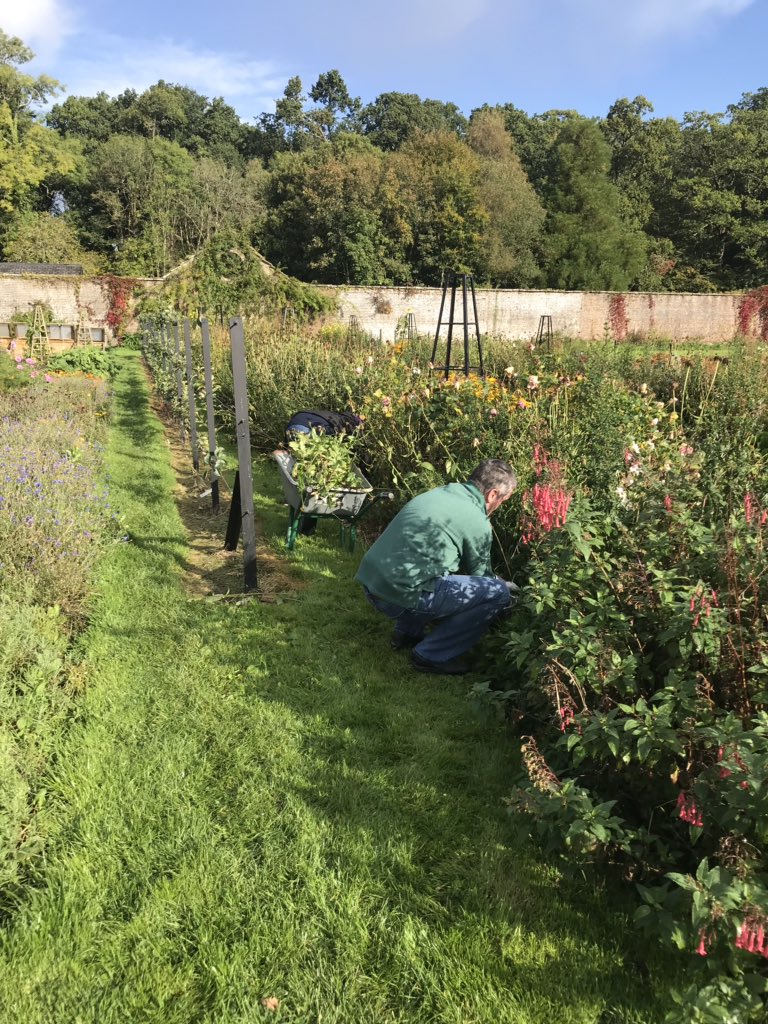 shannon_222's tweet image. Such a beautiful day at Florence Court where our lovely #volunteers from @daera_ni are getting stuck in to the gardening tasks! #LoveYourLandscape #supportingyourcommunity @bitcni