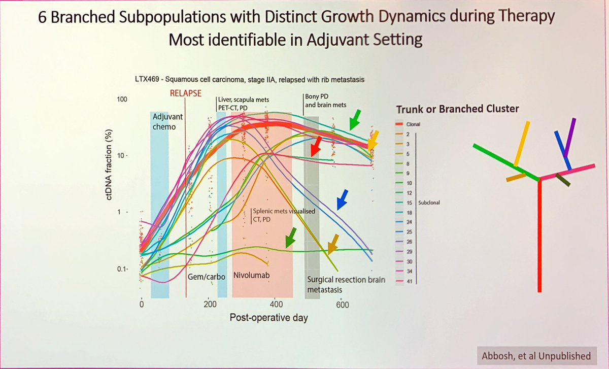 soria (@jsoriamd) on Twitter photo Natural selection in cancer illustrated via liquid biopsy tracking <a href="/CharlesSwanton/">Charles Swanton</a> #ESMO19 Natural selection in cancer illustrated via liquid biopsy tracking <a href="/CharlesSwanton/">Charles Swanton</a> #ESMO19
