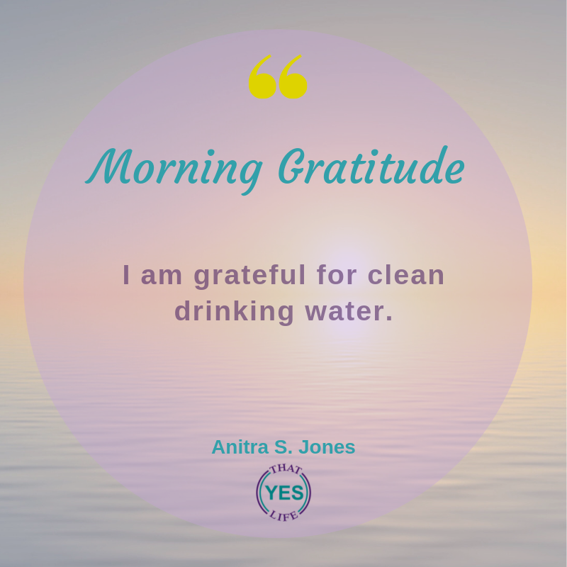 Daily Gratitude Sets a Positive Tone for the Day. What are you Grateful for Today?

#ThatYESLife because #LifeIsNotADressRehearsal #RedefineSuccess #ActionSteps #Sisterhood #Significance #SelfCare #Strategy