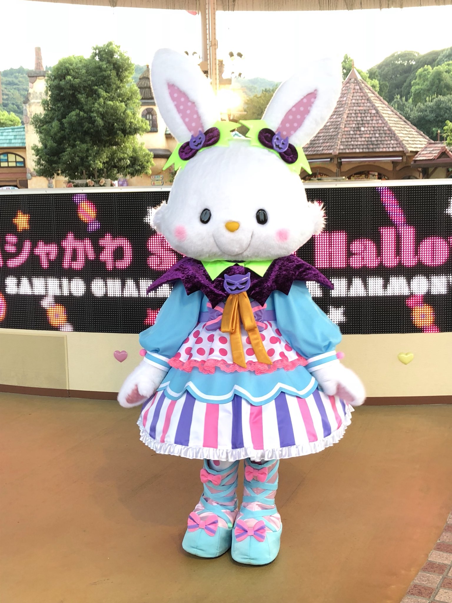 かずねこ50号🍠🔥 on X: 