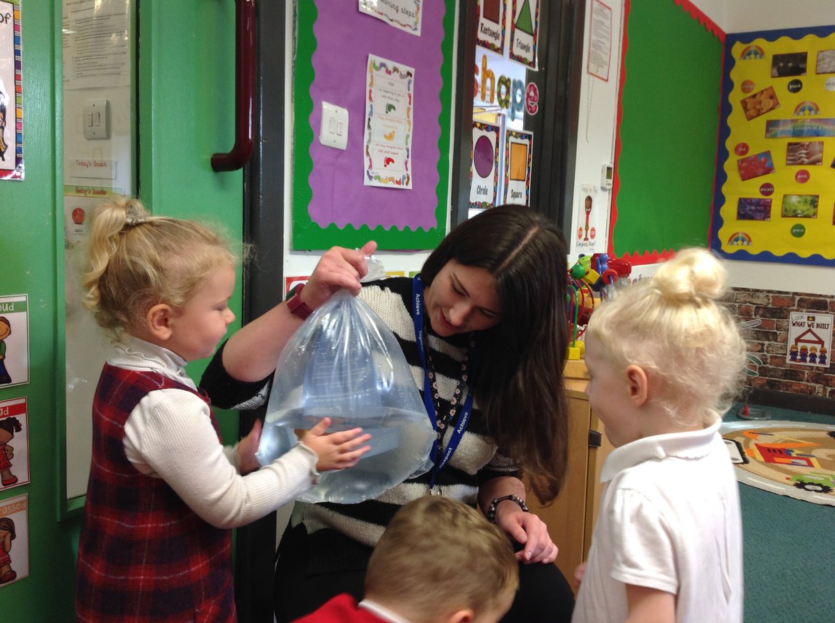 EYFSHeath's tweet photo. This week the 2 year olds have got some new pet fish.@HPSDerbyshire #newpets #EYFSeducation #goldfish https://t.co/q096UBiPlf