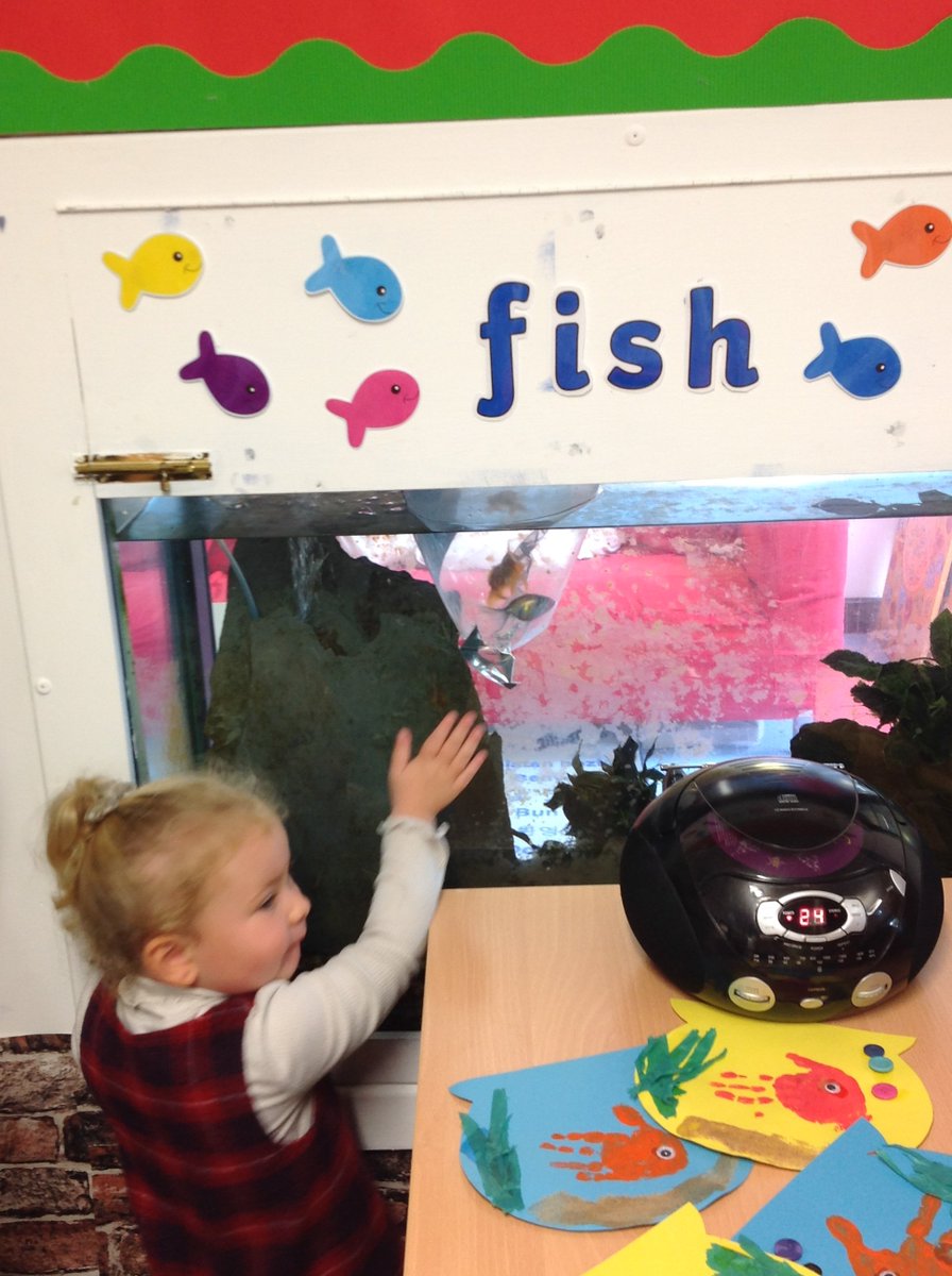 EYFSHeath's tweet photo. This week the 2 year olds have got some new pet fish.@HPSDerbyshire #newpets #EYFSeducation #goldfish https://t.co/q096UBiPlf