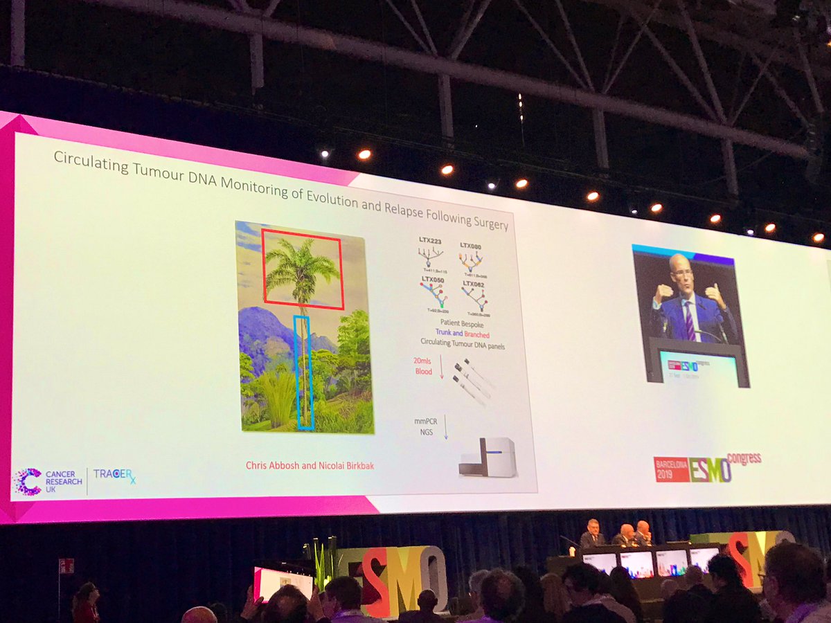 blood_pac's tweet photo. Fantastic Translational Research Award lecture by #CharlesSwanton. “Circulating Tumor DNA Monitoring of Evolution and Relapse Following Surgery” #esmo2019 #CFDNA #liquidbiopsy #PrecisionMedicine #CancerCare #Collaboration #PatientBenefit @CR_UK #data https://t.co/BhSemAPqw9