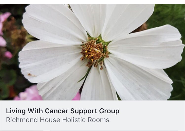 IndieReiki's tweet photo. Happy Macmillan Coffee Morning! Enjoy the cake 🧁 the next cancer support group in St Annes is 14.10.19 support to anyone with cancer &amp; their families/carers. holistic treatments &amp; a chance to speak to Macmillan #reiki #lancashire #macmillan #macmillancoffeemorning #blackpool https://t.co/ttf09gVnUv