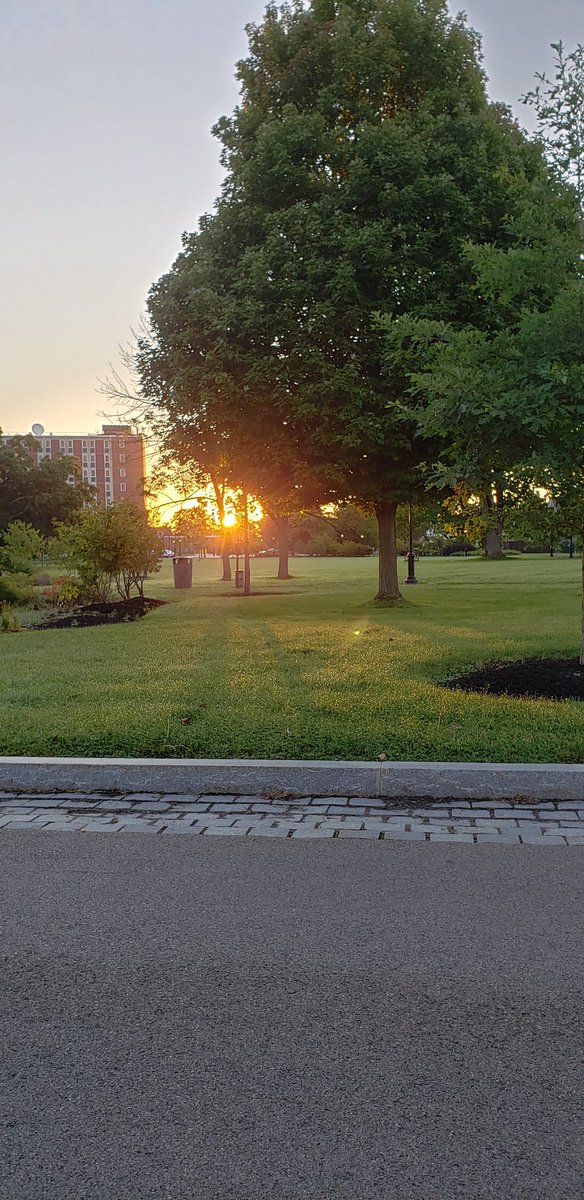 Programazing's tweet image. Good morning #DevOpsDays #Bflo #DevOpsDaysBuf