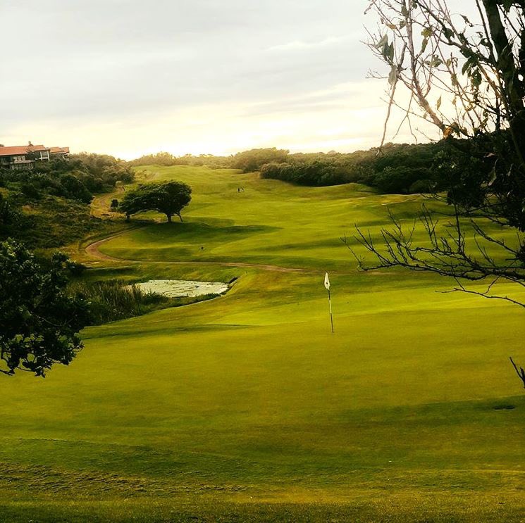 ZimbaliCC's tweet photo. Where are your golf clubs taking you this weekend?
πΈ: IG | @marukgwane
#ZimbaliCountryClub #WeekendGolfing #BestWayToRelax https://t.co/exHvntyjxN
