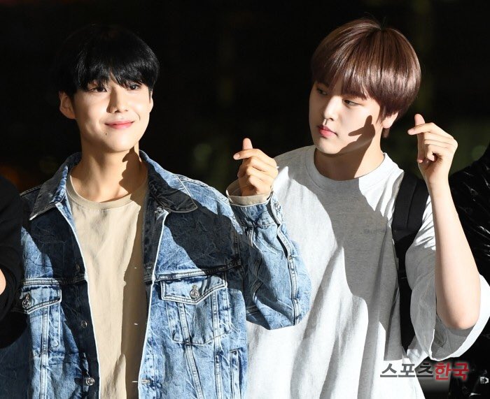 NamdohyonTH's tweet photo. [🌻] 190927 || รูปภาพของนัมโดฮยอนและหนุ่มๆX1ที่สนามบินอินชอน ที่กำลังจะเดินทางมายังประเทศไทยเพื่อเข้าร่วมงาน #KCON2019THAILAND จากสำนักข่าวต่างๆค่ะ ✨

#นัมโดฮยอน #NAMDOHYON #남도현 #X1 #엑스원 https://t.co/58Alh2vzfp