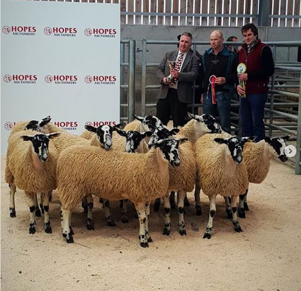 HopesAuction tweet media