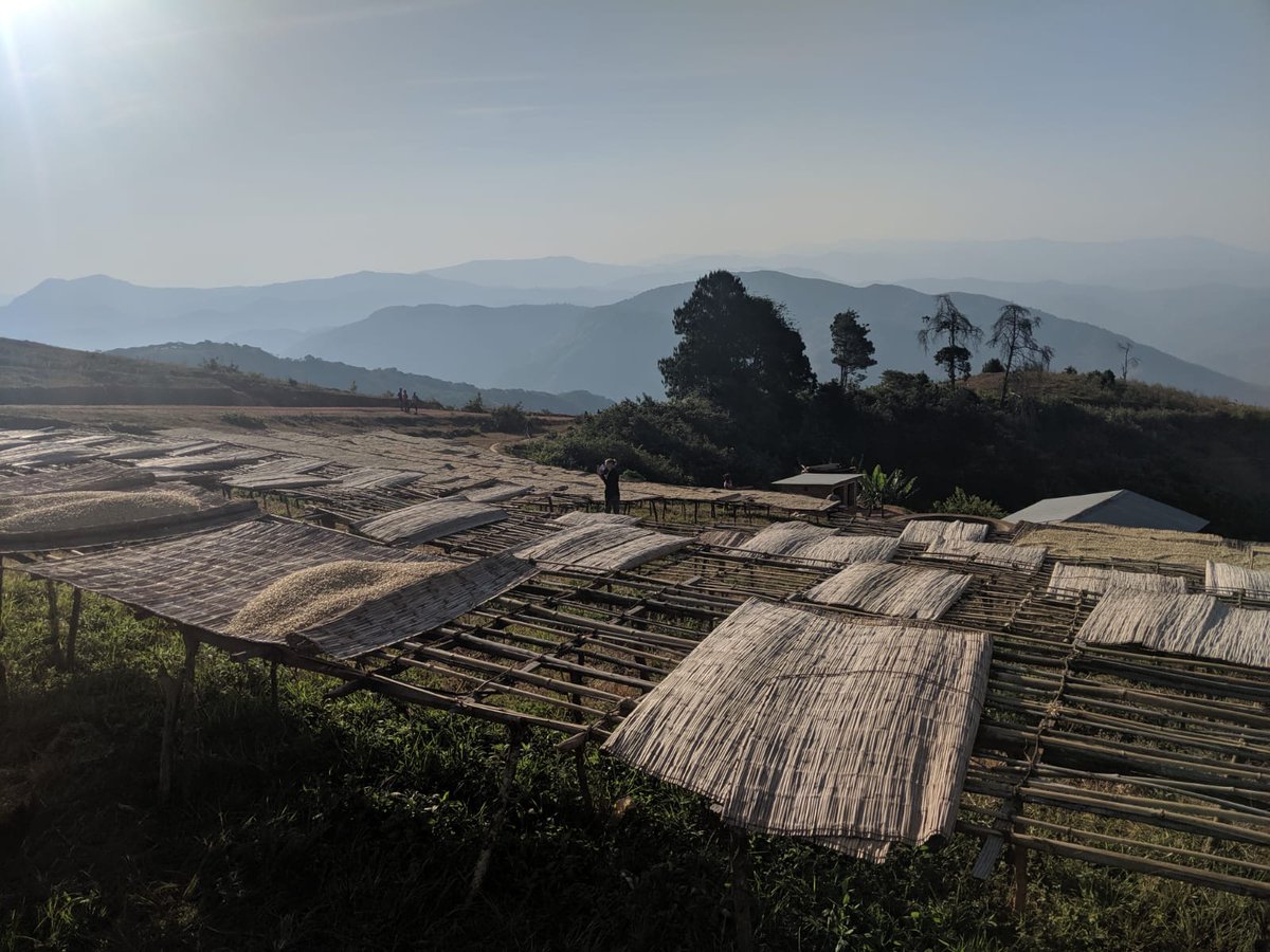 With a dramatic decline in coffee prices, millions of smallholders aren’t making enough to live on. So, 
<a href="/ICOCoffeeOrg/">International Coffee Organization (ICO)</a> has a petition, #coffeepledge, in support of coffee farmers earning a living income. Have you signed it yet? bit.ly/coffeepledge.