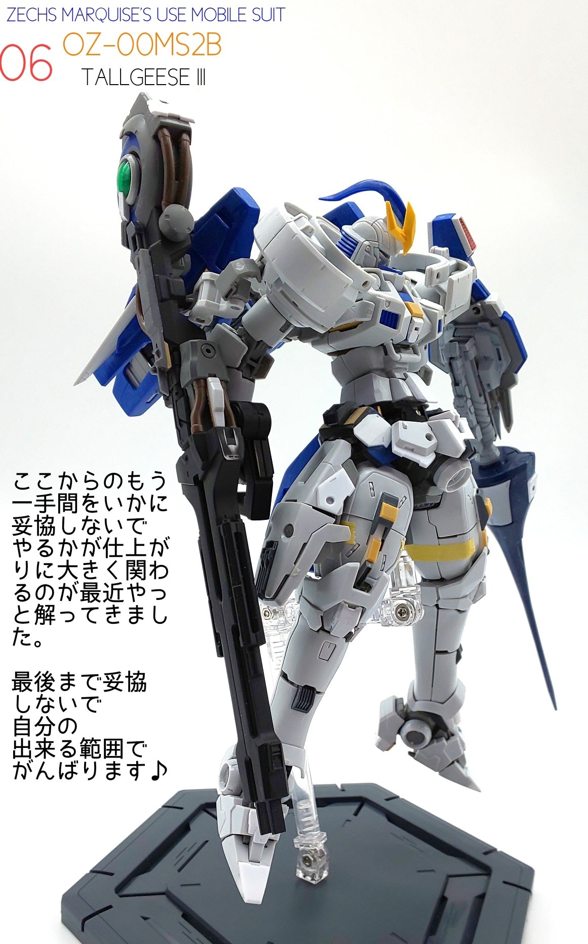 塗装完成 MGトールギスⅢ 【公式通販】