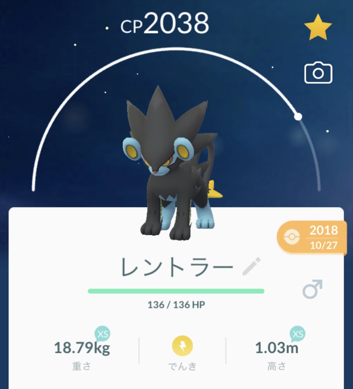 Kissmsg ルクシオ進化 レントラー レントラー ポケモンgo T Co Hzqebwqqu4 Twitter