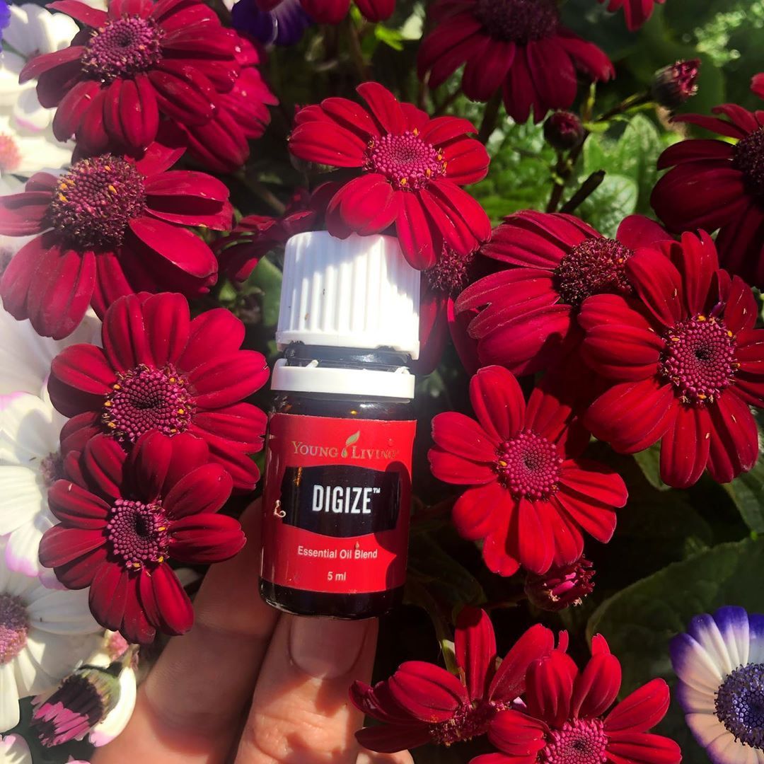 younglivingeoau's tweet photo. With a unique blend combining Tarragon, Ginger, Peppermint, Juniper, Lemongrass, Anise and Patchouli oil. 🌼🌹 @essential_enlightenment
Learn More: https://t.co/lJVqcFYKUm
#yleoaunz #DiGize #essentialoils https://t.co/nPvh4Vqr61