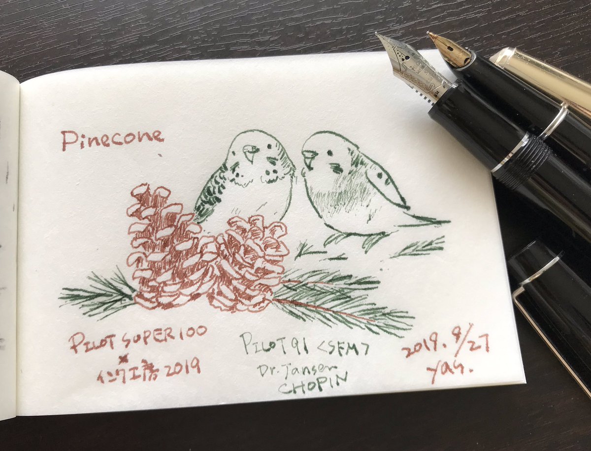 やすえもん 松ぼっくり 万年筆イラスト部