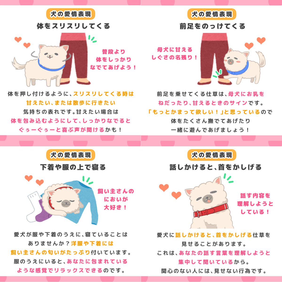 ペットフード販売士 ドッグトレーナー ゆき 犬 が私たちに見せる仕草には 信頼や安心感 大好き と思う気持ちが込められているものがあります 普段の愛犬のようすを思い出しながら チェックしてみてくださいね 犬のごはん塾 犬のいる暮らし いぬの