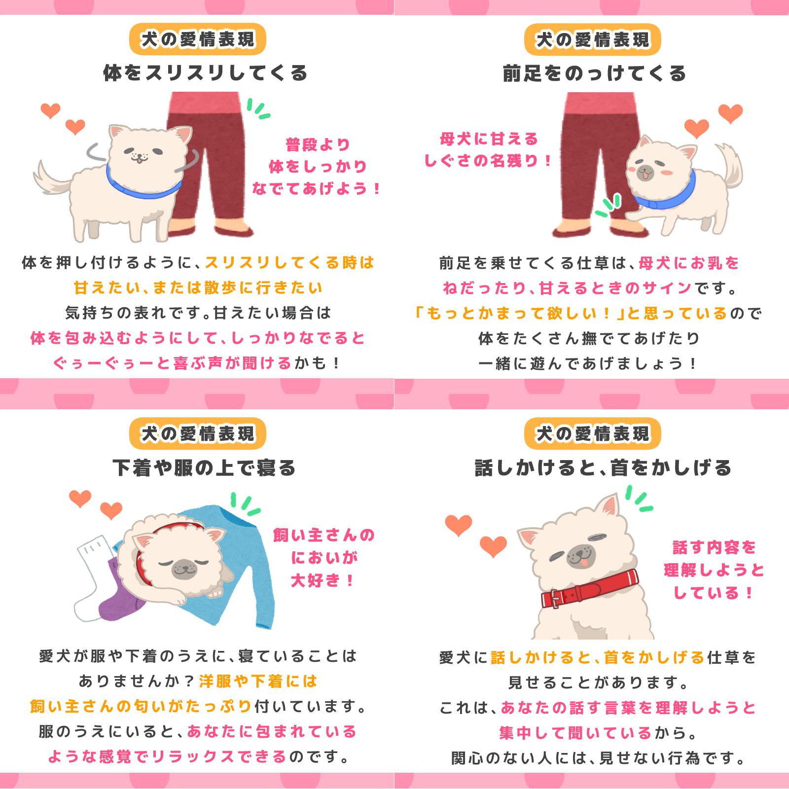 ペットフード販売士 ドッグトレーナー ゆき 犬 が私たちに見せる仕草には 信頼や安心感 大好き と思う気持ちが込められているものがあります 普段の愛犬のようすを思い出しながら チェックしてみてくださいね 犬のごはん塾 犬のいる暮らし いぬの ペットフード販売士 ドッグトレーナー ゆき 犬 が私たちに見せる仕草には 信頼や安心感 大好き と思う気持ちが込められているものがあります 普段の愛犬のようすを思い出しながら チェックしてみてくださいね 犬のごはん塾 犬のいる暮らし いぬの