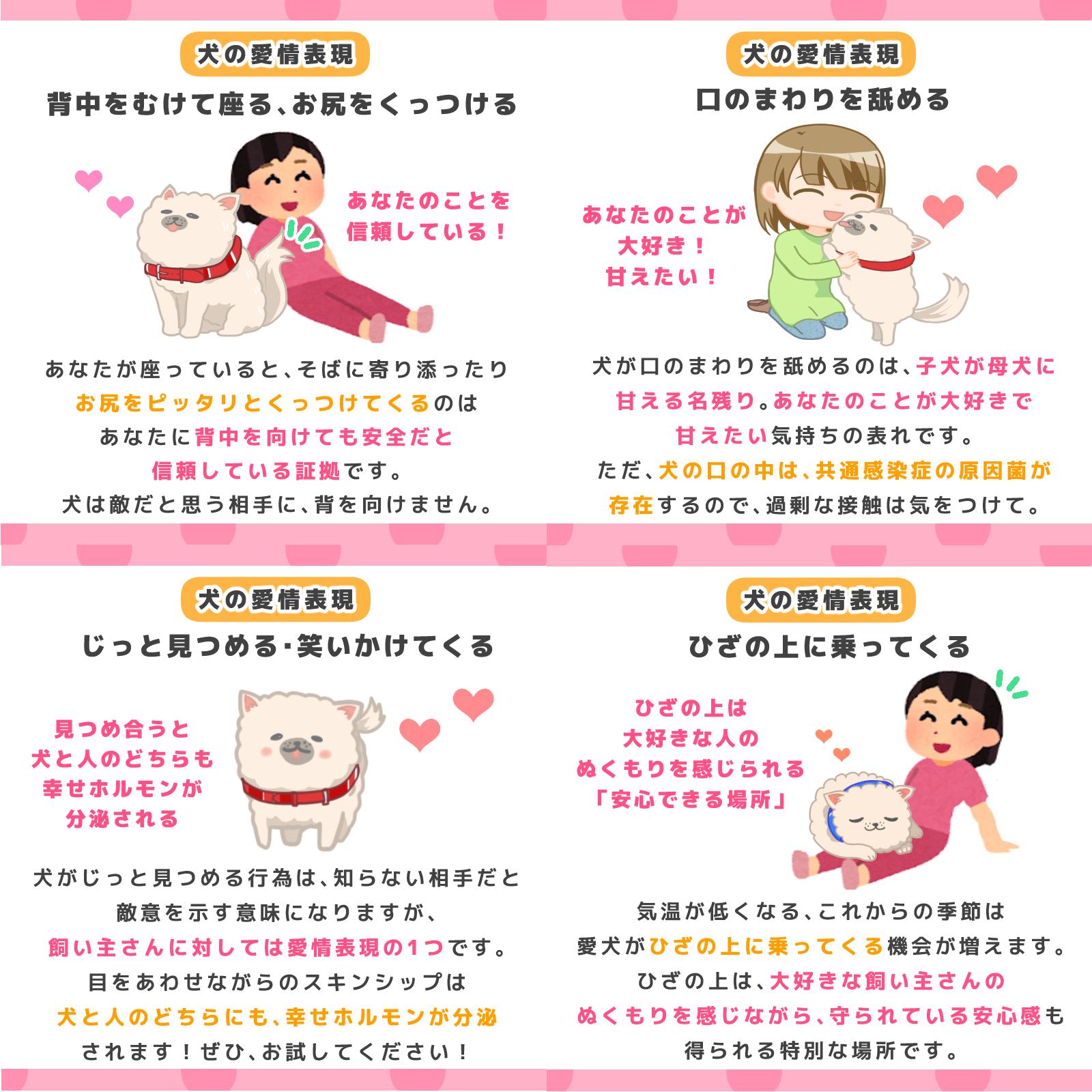ペットフード販売士 ドッグトレーナー ゆき 犬 が私たちに見せる仕草には 信頼や安心感 大好き と思う気持ちが込められているものがあります 普段の愛犬のようすを思い出しながら チェックしてみてくださいね 犬のごはん塾 犬のいる暮らし いぬの ペットフード販売士 ドッグトレーナー ゆき 犬 が私たちに見せる仕草には 信頼や安心感 大好き と思う気持ちが込められているものがあります 普段の愛犬のようすを思い出しながら チェックしてみてくださいね 犬のごはん塾 犬のいる暮らし いぬの