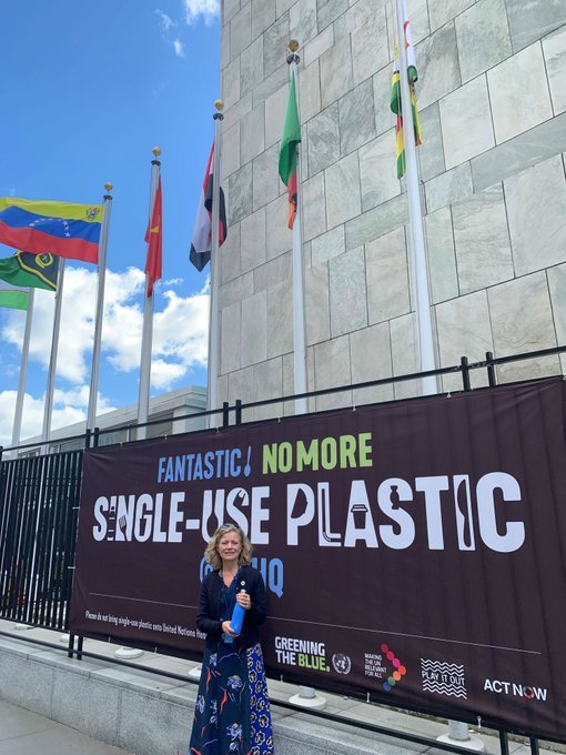 Feargal_Sharkey's tweet photo. A TALE OF TWO CITIES.

While people standing on Westminster Bridge London are able to photograph raw sewage collecting in the Thames right beside parliament the chair of the @EnvAgency @EmmaHowardBoyd can be seen posing outside the @UN in #newyork.

Need I say more. https://t.co/28nCWqocL2