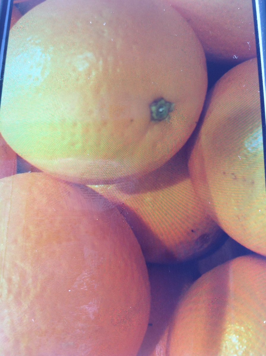 Tesco Amersham donating fruit to st Mary's church Amersham for their harvest festival celebrations