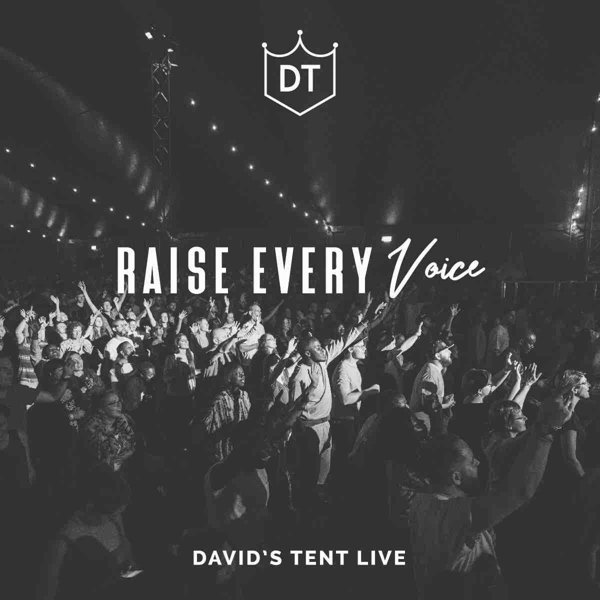 Raise Every Voice - Album Out Now | Day 1 Schedule | You are the first to know !!! - mailchi.mp/davidstent/rai…
