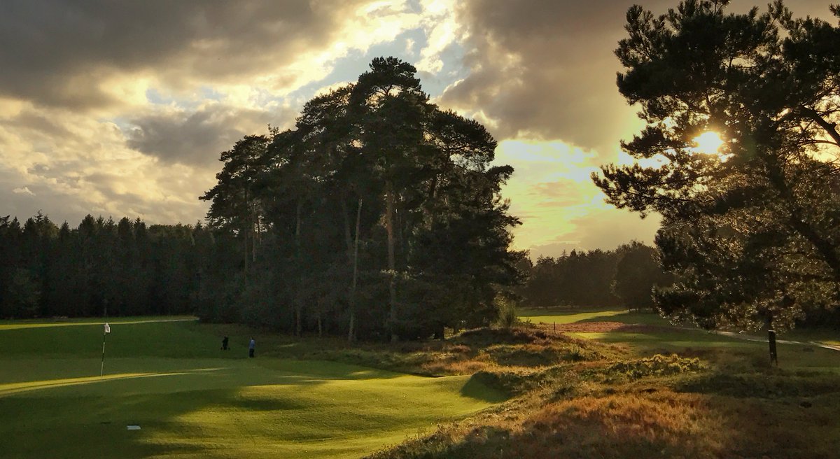 DeRidderBV's tweet photo. Ben jij onze nieuwe hoofdgreenkeeper m/v op GC De Hoge Kleij? Heb jij #vakmanschap #passie ? Wordt dit jouw nieuwe werkplek? #droombaan @NGA_Golf @NVG_golf @bladgreenkeeper @NGF_ #jammerdatRobnaarChiligaat
https://t.co/tFGbIZPcfX https://t.co/hNWkWNfijP