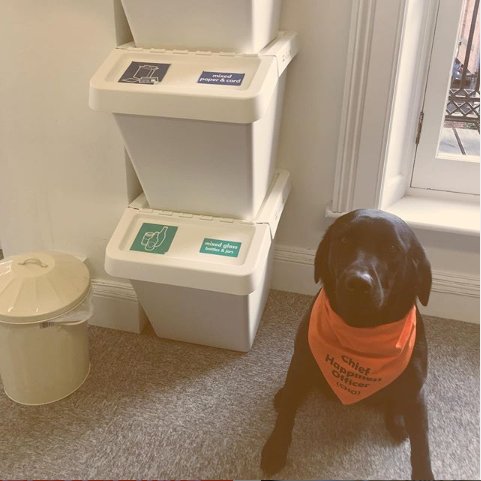 The team has been teaching me all about recycling this week ♻️Together we’ve been rinsing, sorting and separating our recyclables. I’ve been learning what you can and can’t recycle and after all that learning I think I deserve a bone 🦴👀 #recycleweek #inourownhands