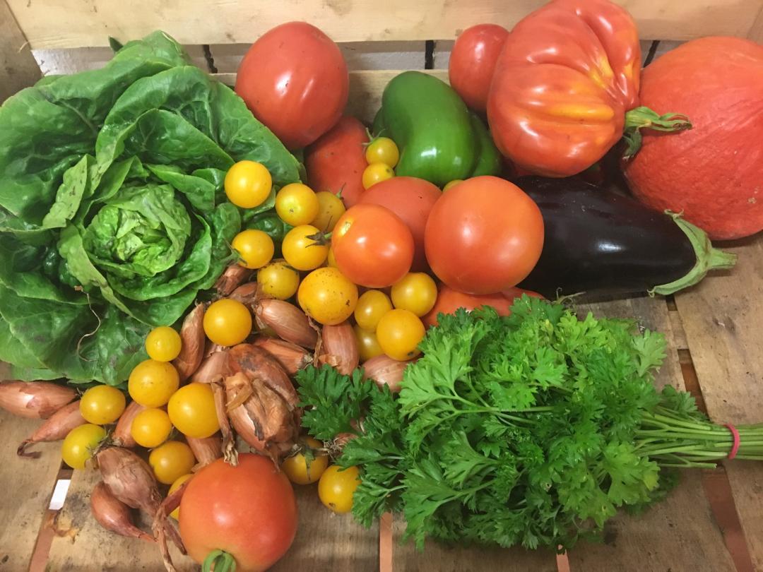 Le panier d'hier soir, "Sétipasbeau" ça ? À jeudi prochain !