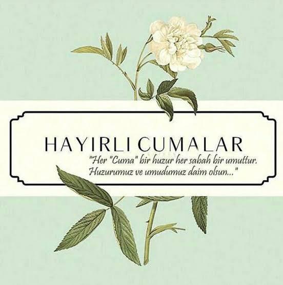 Serdar Sevimli (@serdarrss1907) on Twitter photo 