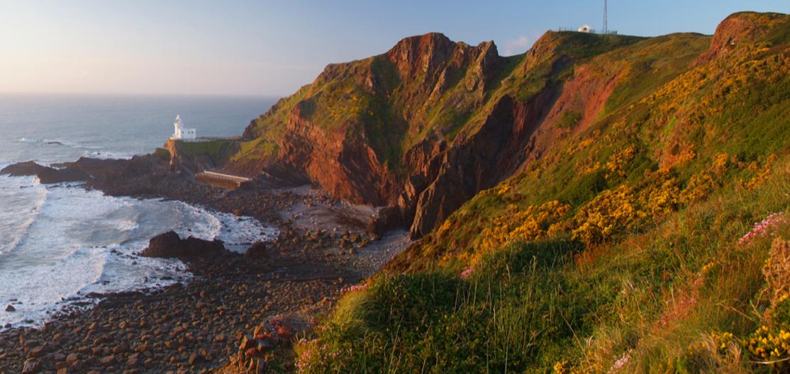 North Devon tweet media