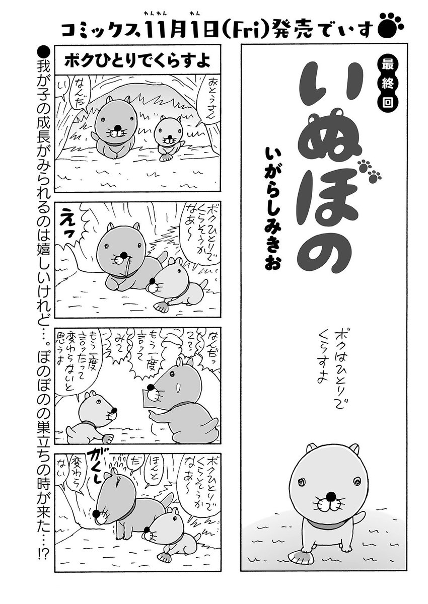 竹書房４コマ編集部 On Twitter いがらしみきお先生 いぬぼの